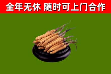 郁南县烟酒回收冬虫夏草.jpg